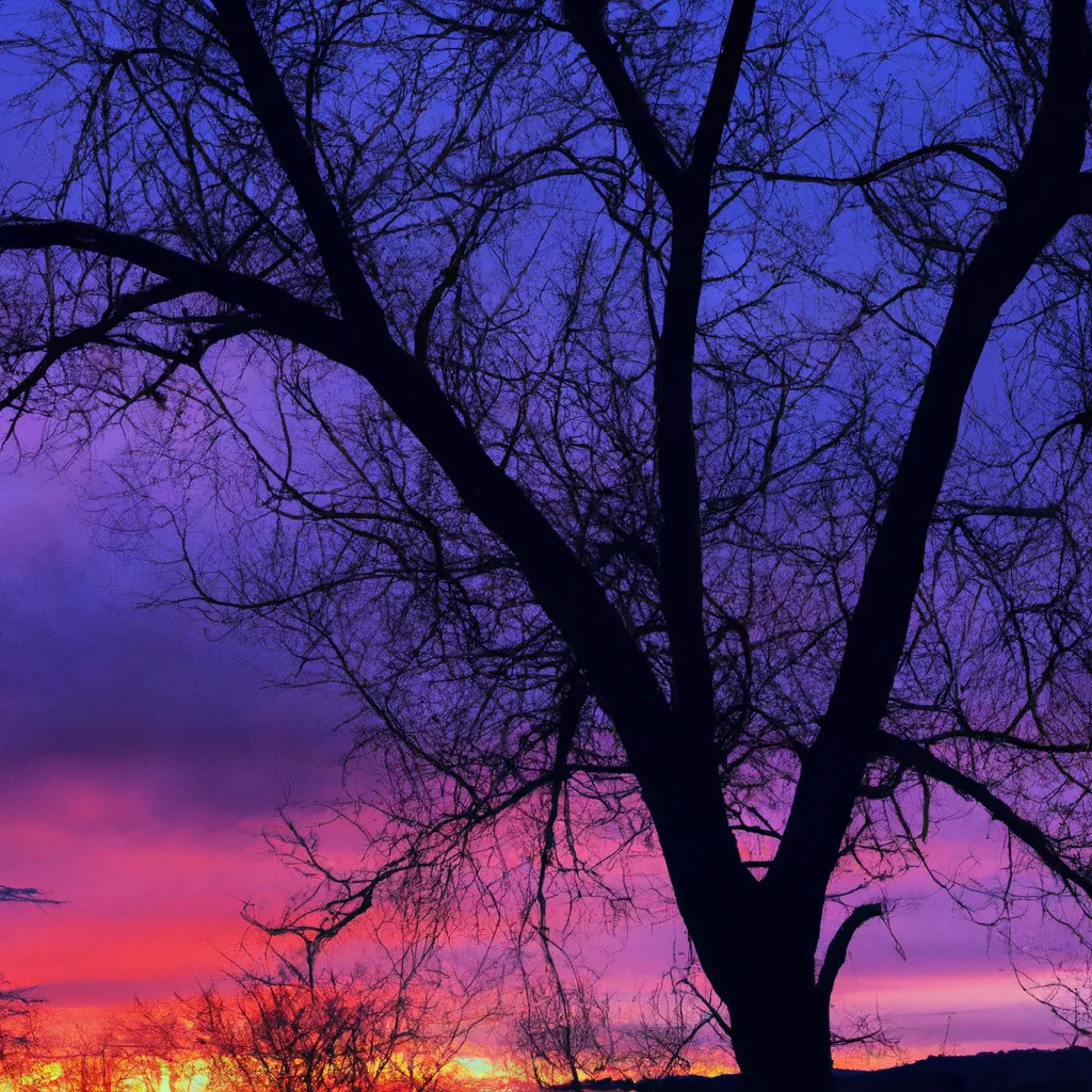 Jak Zrobić Idealne Zdjęcie Zachodu Słońca Telefonem: Praktyczny Przewodnik